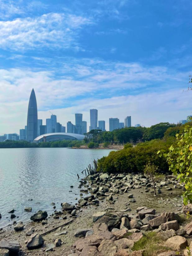 71b6b32442154ab4bbcdb8821d638489